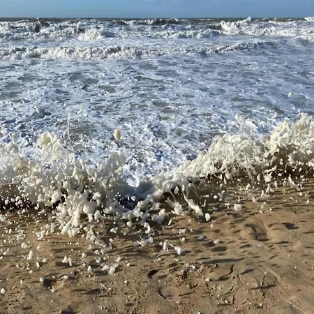 In With Stunning Sea View דירה