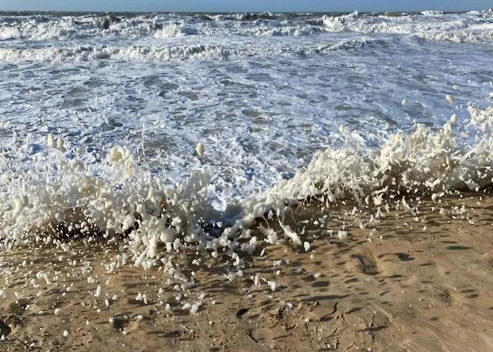 In With Stunning Sea View דירה